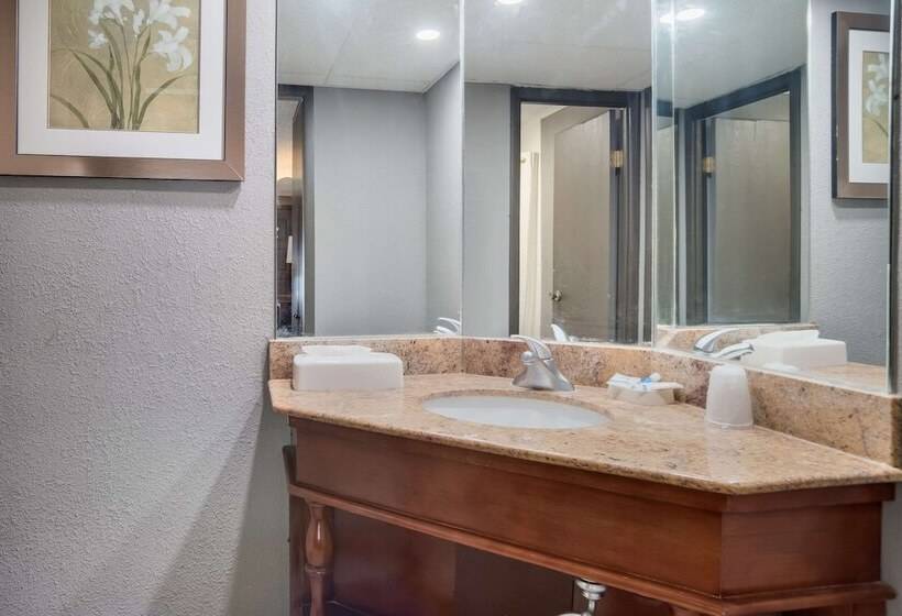 带2个双人床的标准工作室, Rodeway Inn