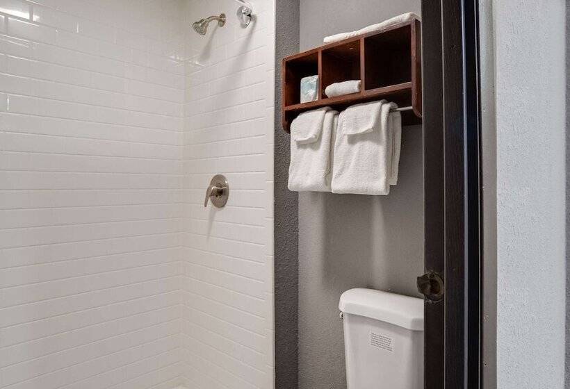 Номер Стандарт 2 Двуспальные Кровати, Rodeway Inn