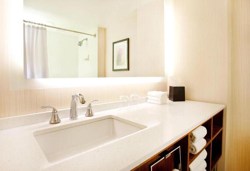 Deluxe room with river view, Sheraton Grand Chicago Riverwalk