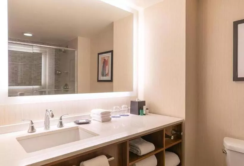 身障者適用キングサイズベッドルーム, Sheraton Grand Chicago Riverwalk