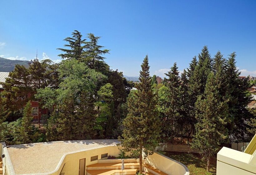 اتاق اجرایی, Sheraton Grand Tbilisi Metechi Palace