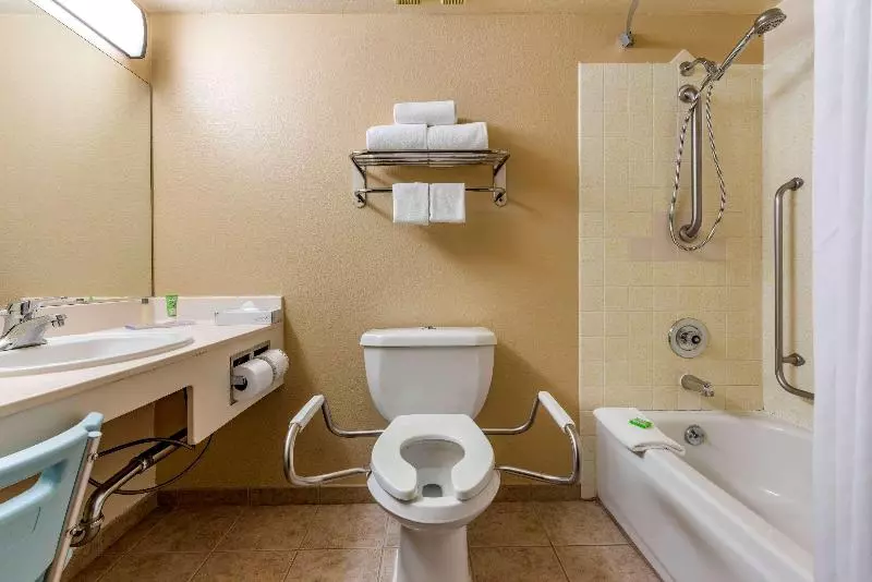 اتاق استاندارد برای معلولان, The Federal Hotel Downtown Carson City, Ascend Hotel Collection
