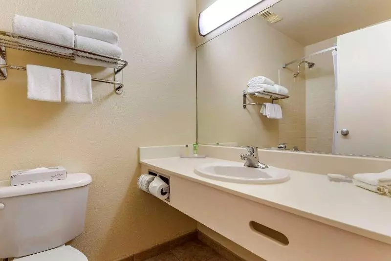 اتاق استاندارد با تخت بزرگ, The Federal Hotel Downtown Carson City, Ascend Hotel Collection