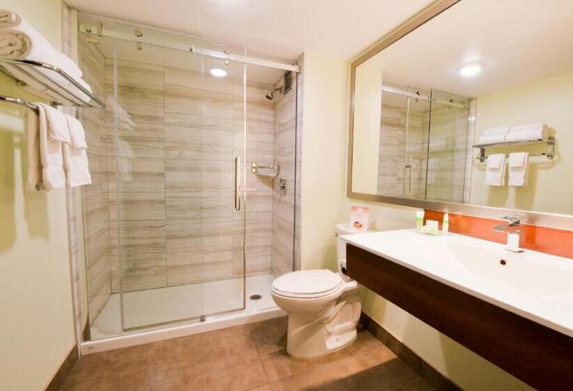Quarto Estandar 2 Camas Casal, Universel Montréal