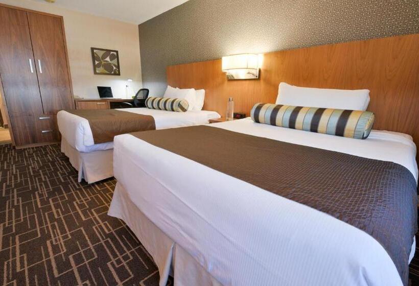 Quarto Estandar 2 Camas Casal, Universel Montréal
