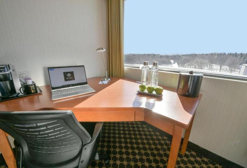 디럭스 룸 킹사이즈 침대, Universel Montréal