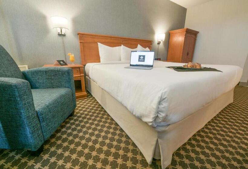 디럭스 룸 킹사이즈 침대, Universel Montréal