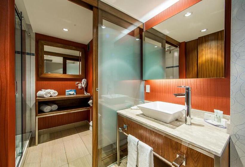 프리미엄 룸, Universel Montréal