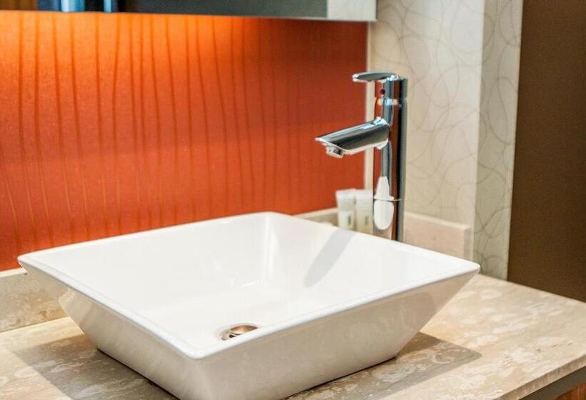 프리미엄 룸, Universel Montréal