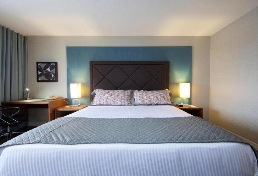 Quarto Premium, Universel Montréal