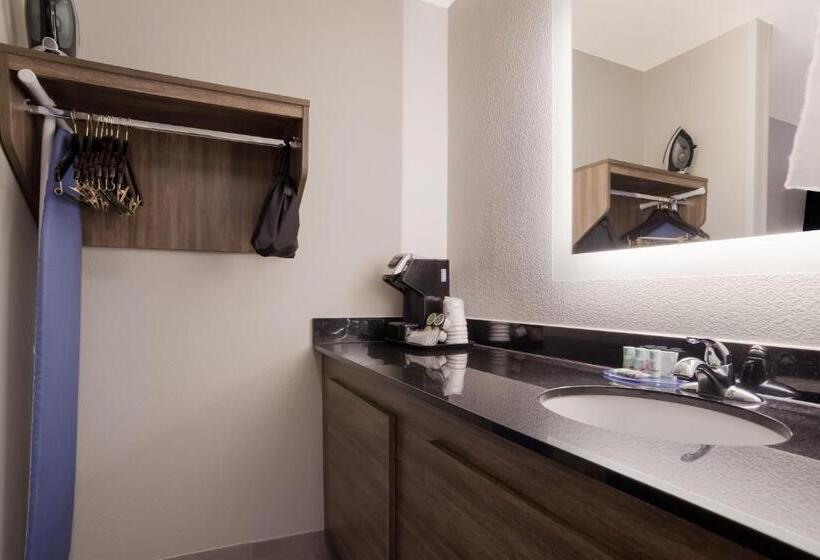 غرفة قياسية سرير كينج, Best Western Flagship Inn