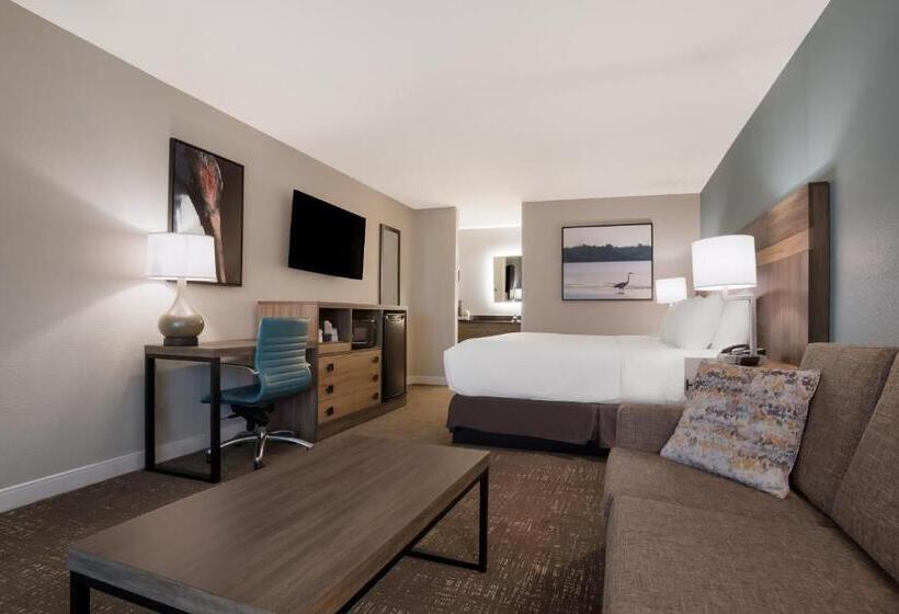 스탠다드 룸 킹사이즈 침대, Best Western Flagship Inn