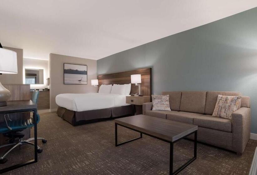 스탠다드 룸 킹사이즈 침대, Best Western Flagship Inn