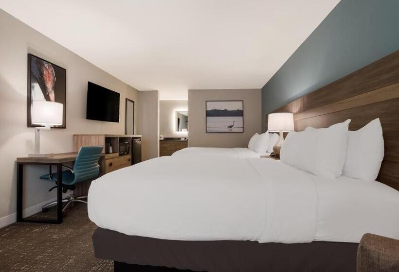 غرفة قياسية, Best Western Flagship Inn