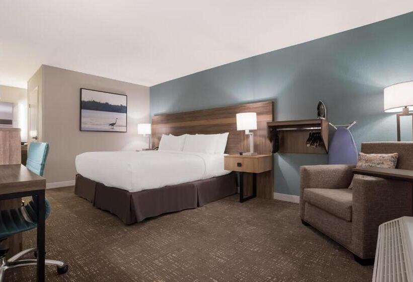 غرفة قياسية سرير كينج لذوى الإحتياجات الخاصة, Best Western Flagship Inn