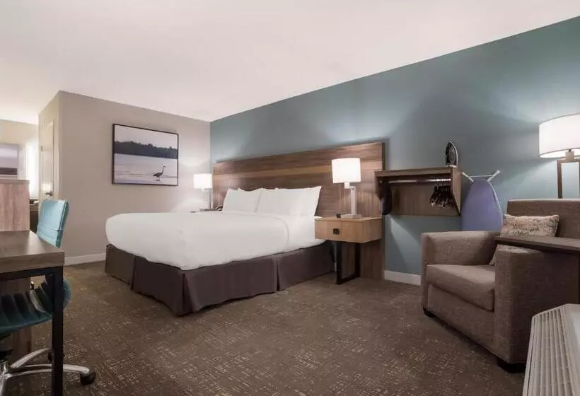 身障者適用キングサイズベッドルーム, Best Western Flagship Inn