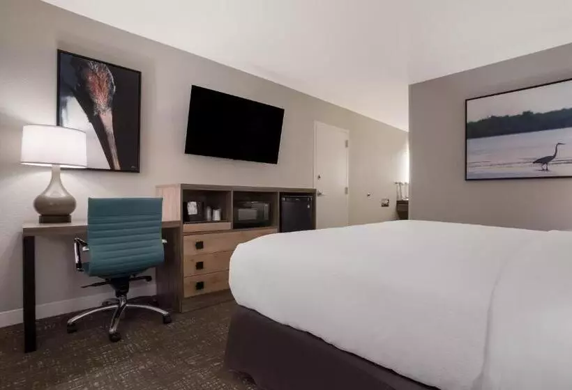 身障者適用キングサイズベッドルーム, Best Western Flagship Inn