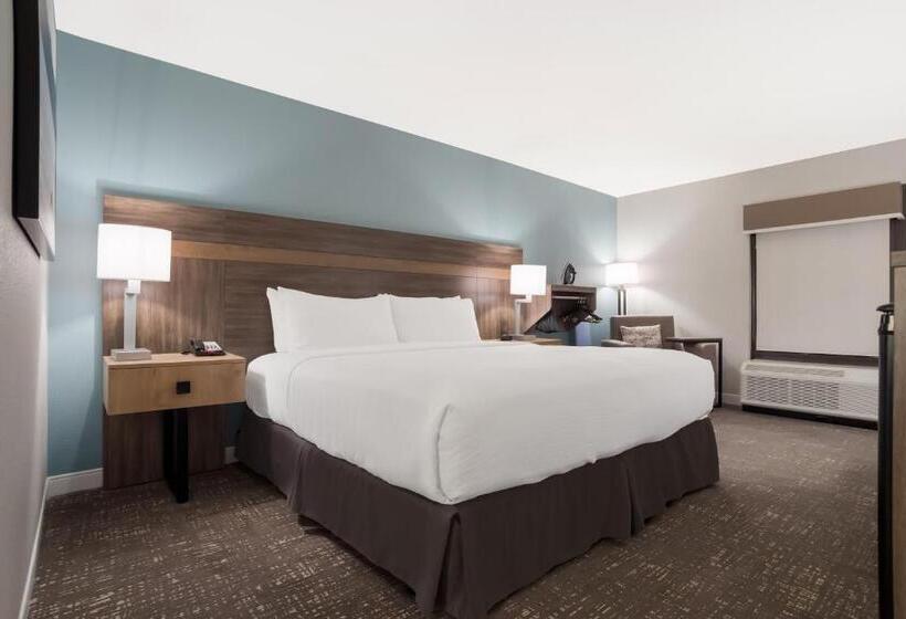 غرفة قياسية سرير كينج لذوى الإحتياجات الخاصة, Best Western Flagship Inn