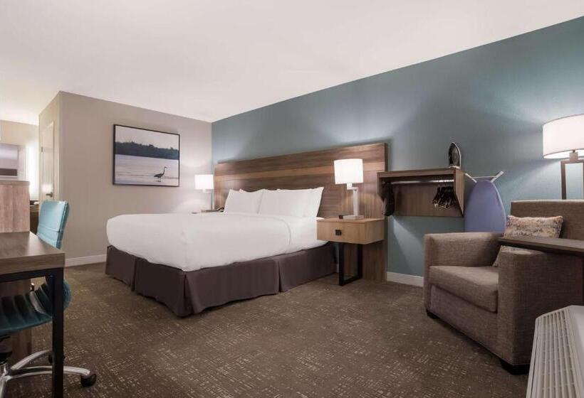 غرفة قياسية سرير كينج لذوى الإحتياجات الخاصة, Best Western Flagship Inn