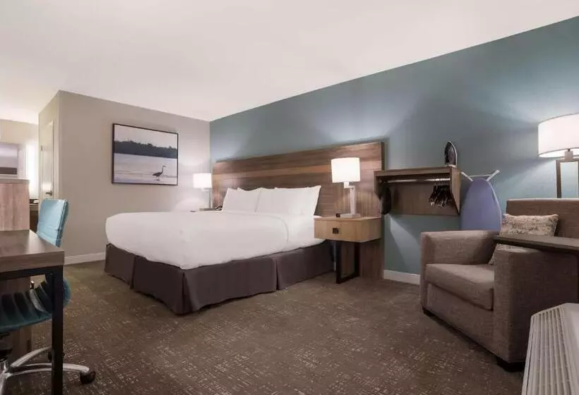 身障者適用キングサイズベッドルーム, Best Western Flagship Inn