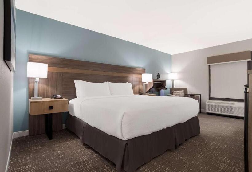 장애인을 위한 킹사이즈 침대 스탠다드 룸, Best Western Flagship Inn