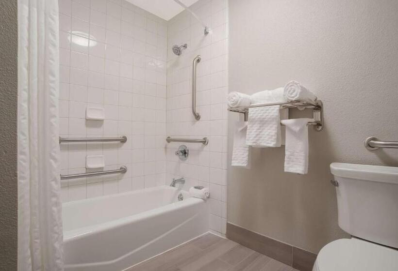 غرفة قياسية سرير كينج لذوى الإحتياجات الخاصة, Best Western Flagship Inn