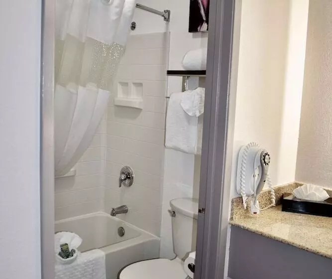 اتاق استاندارد با 2 تخت دوبل, Best Western Marina State Beach