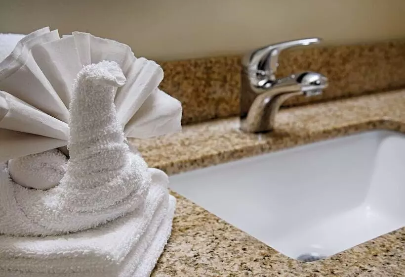 اتاق استاندارد با 2 تخت دوبل, Best Western Marina State Beach