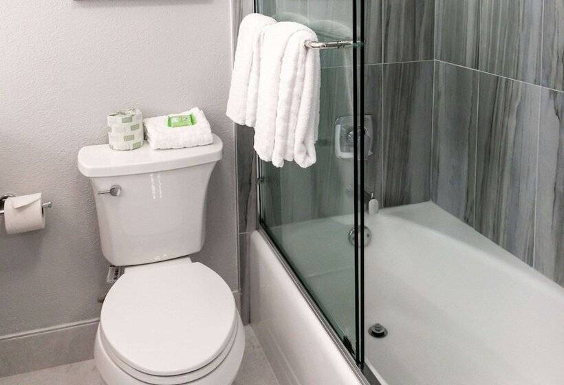 סוויטה, Best Western Palm Beach Lakes