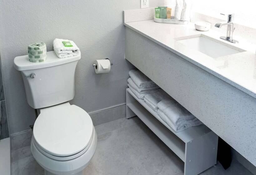 סוויטה, Best Western Palm Beach Lakes