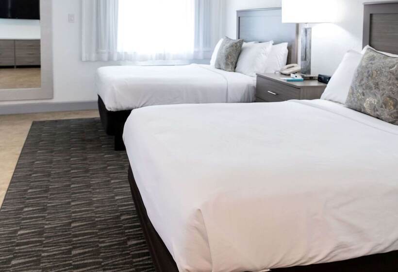 סוויטה, Best Western Palm Beach Lakes