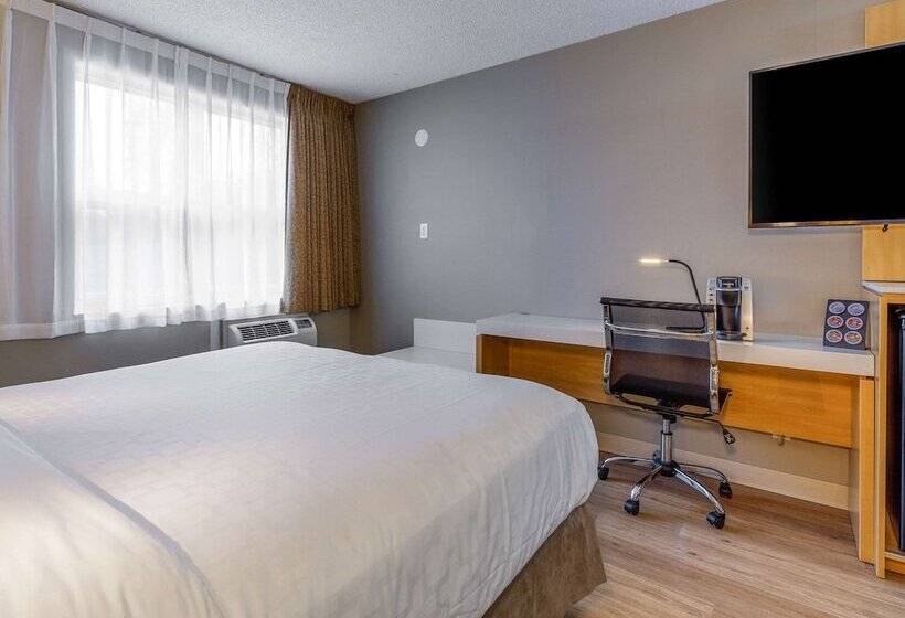 חדר סטנדרט שתי מיטות זוגיות, Clarion Pointe Quebec Airport