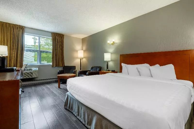 اتاق استاندارد با تخت بزرگ برای معلولان, Clarion Pointe Quebec Airport