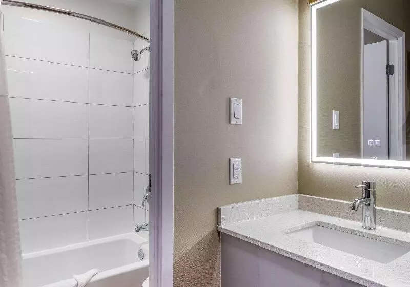 اتاق استاندارد با تخت بزرگ برای معلولان, Clarion Pointe Quebec Airport