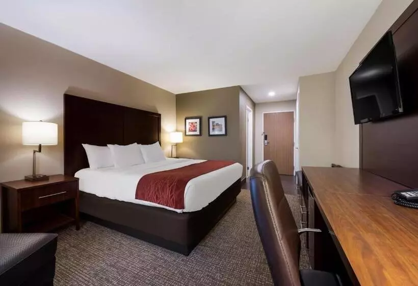 キングサイズベッドのスタンダードルーム, Comfort Inn Onalaska  La Crosse Area