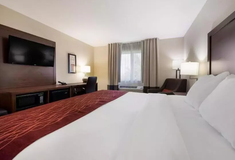 キングサイズベッドのスタンダードルーム, Comfort Inn Onalaska  La Crosse Area