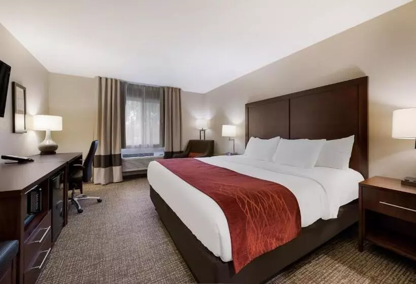 キングサイズベッドのスタンダードルーム, Comfort Inn Onalaska  La Crosse Area