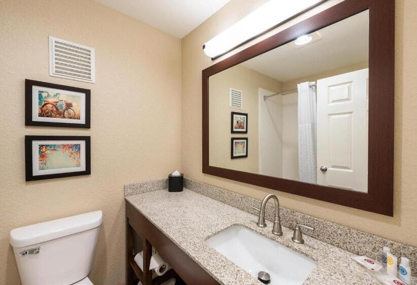 스탠다드 룸 킹사이즈 침대, Comfort Inn Onalaska  La Crosse Area