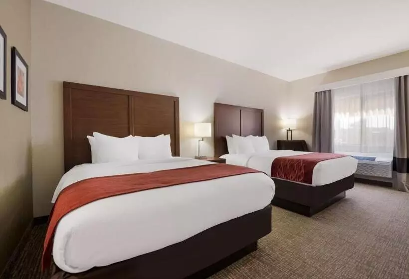 スタンダードルーム, Comfort Inn Onalaska  La Crosse Area