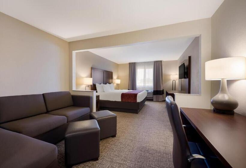 جناح سرير كينج, Comfort Inn Onalaska  La Crosse Area