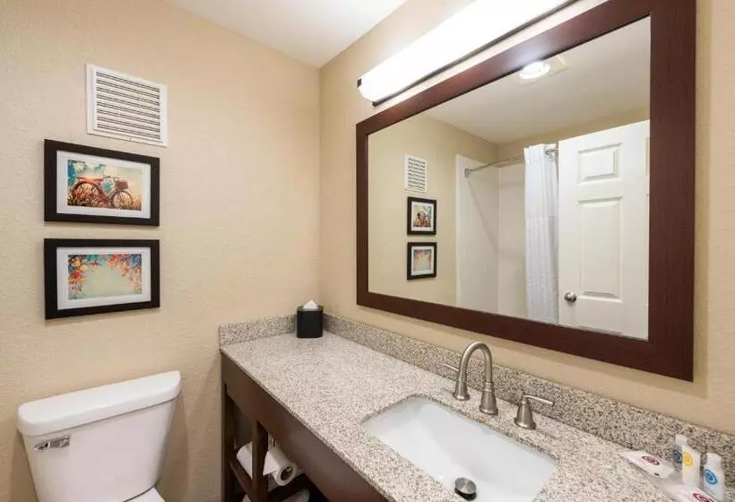 キングサイズベッドのスイートルーム, Comfort Inn Onalaska  La Crosse Area