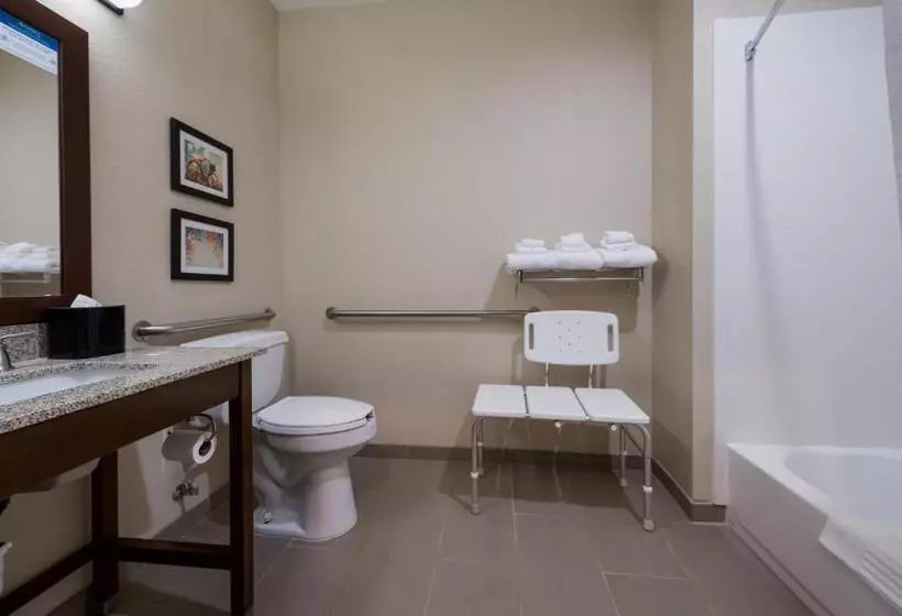 身障者適用キングサイズベッドルーム, Comfort Inn Onalaska  La Crosse Area