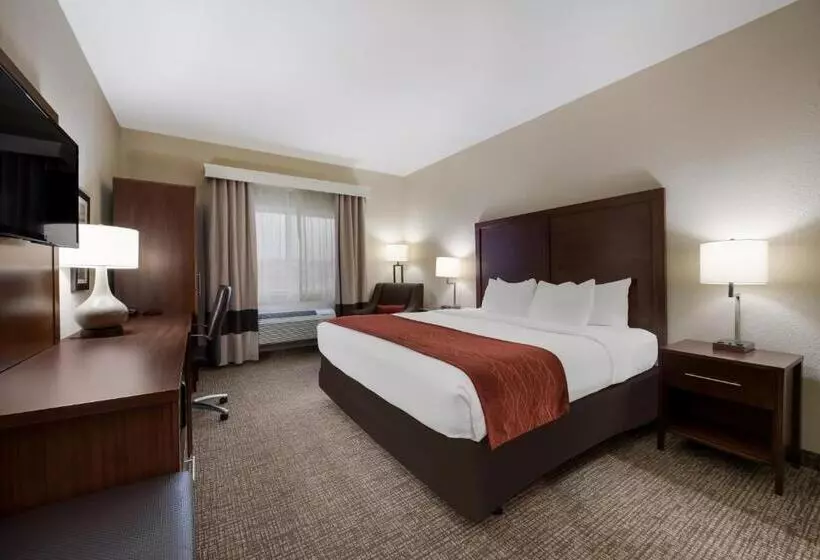 身障者適用キングサイズベッドルーム, Comfort Inn Onalaska  La Crosse Area