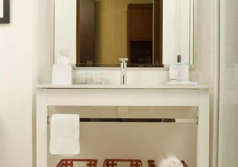 اتاق استاندارد با تخت بزرگ, Four Points By Sheraton Winnipeg South