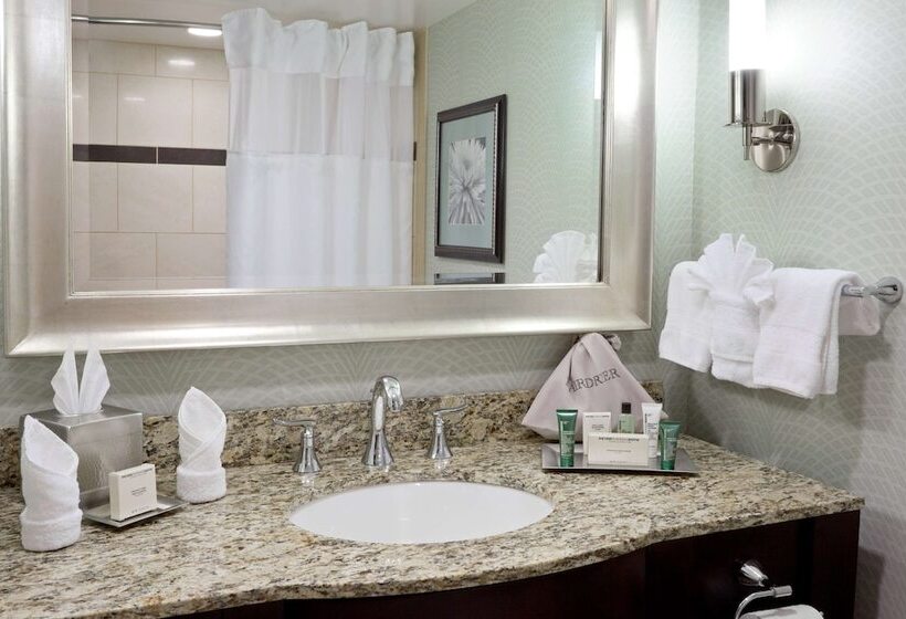 디럭스 룸, Hilton Springfield