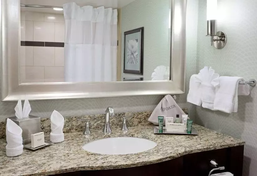 デラックスルーム, Hilton Springfield