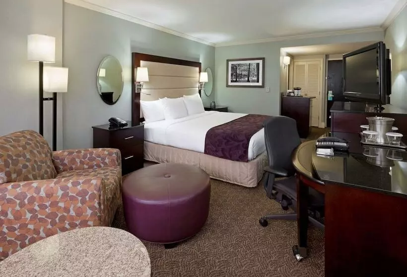 デラックスルーム, Hilton Springfield