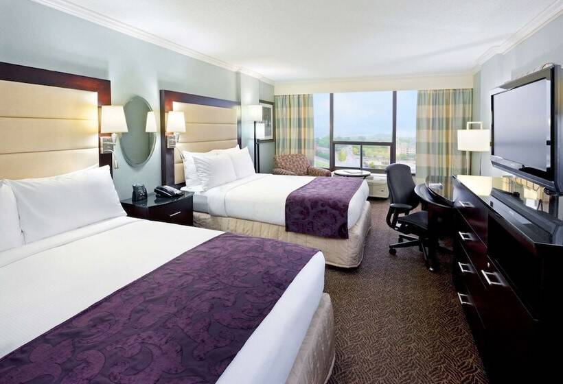 디럭스 룸, Hilton Springfield