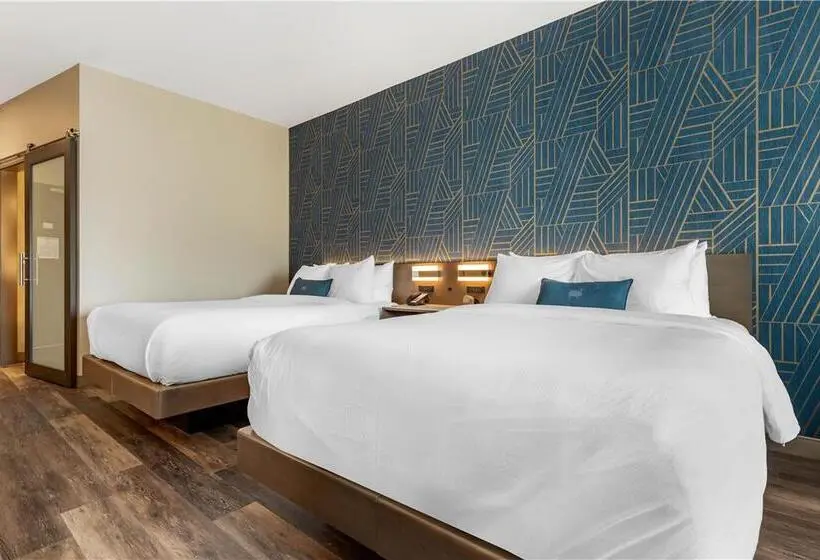 Standard-invahuone, Hilton Springfield