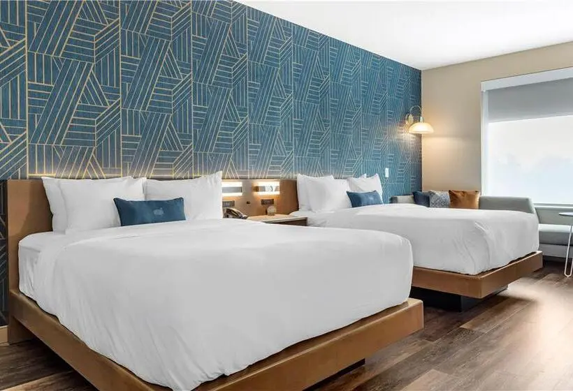 Standard-invahuone, Hilton Springfield